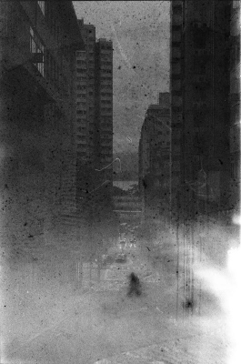 passing shadow, 2026