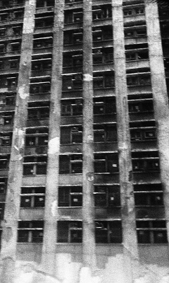 The 168 of Wang Fuk Court, 2026